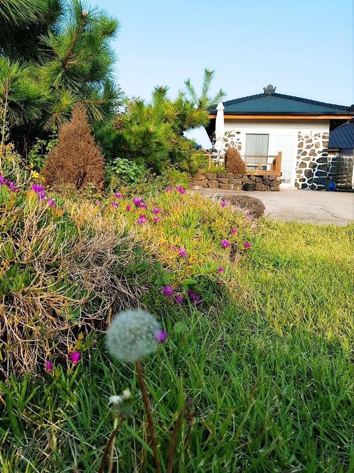 Villa Hadori Mindfulness Jeju Esterno foto