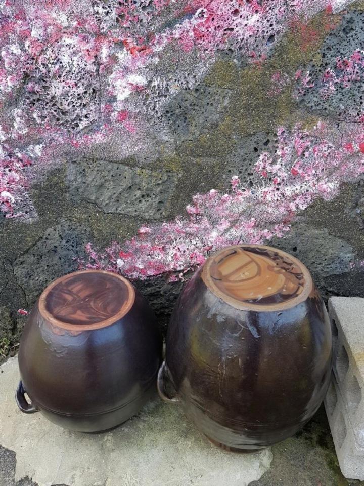 Villa Hadori Mindfulness Jeju Esterno foto